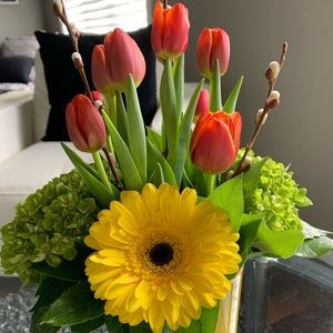 Meet your Posher, Lianne